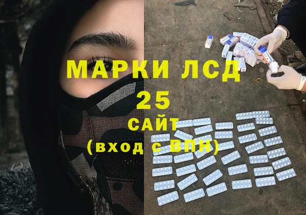 шишки Алексин