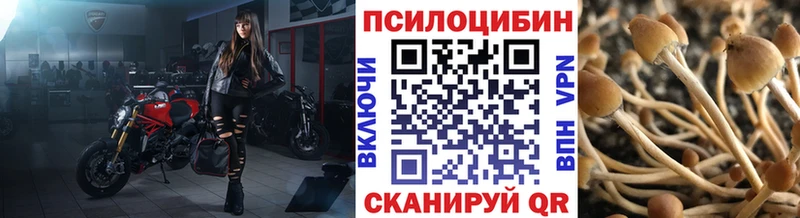 hydra зеркало  Павловский Посад  Псилоцибиновые грибы Cubensis 
