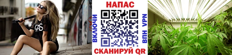 купить Павловский Посад Каннабис ГИДРОПОН